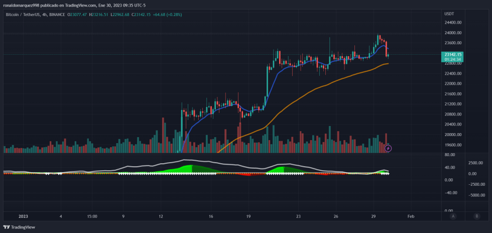 Crypto Bitcoin