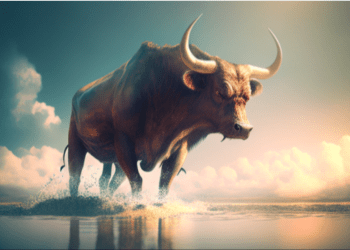 Bitcoin bull