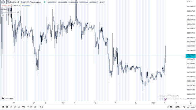Shiba Inu chart on Tradingview