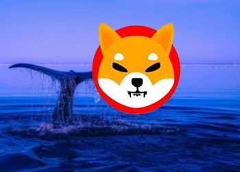 Shiba Inu Ethereum whales