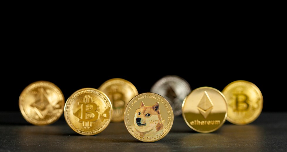 Tesla Bitcoin Dogecoin