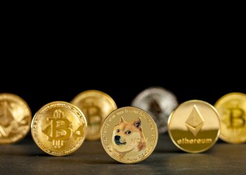 Tesla Bitcoin Dogecoin