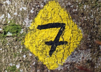 7 New Crypto Coin Launches to Buy in 2023