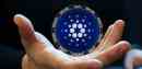 Cardano (ADA) holders