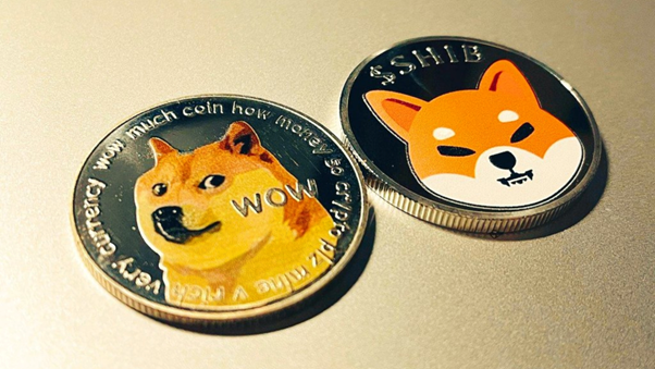 Who let the dogs out? Meme coins make runaway gains