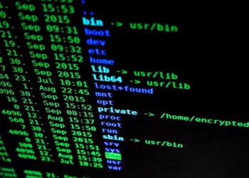 Is the Price Surge of AI Coins a Sign of the Next Crypto Bull?