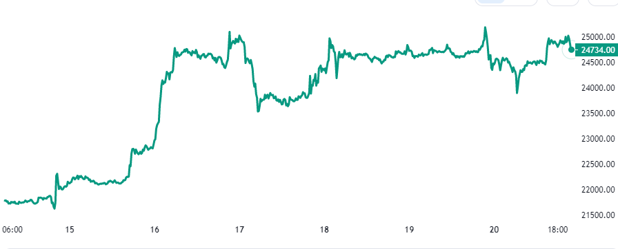 Grafico dei prezzi dei bitcoin