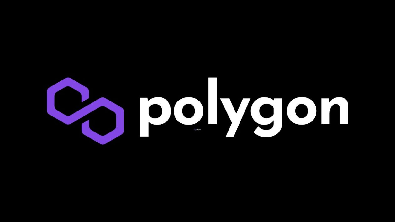 Polygon (MATIC) Tops List Among ETH Whales Ahead Of The zkEVM Launch