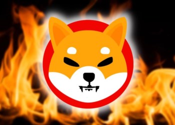 Shiba Inu SHIB burns by Koyo