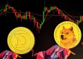 Dogecoin and Shiba Inu