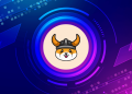 Floki Inu meme coin