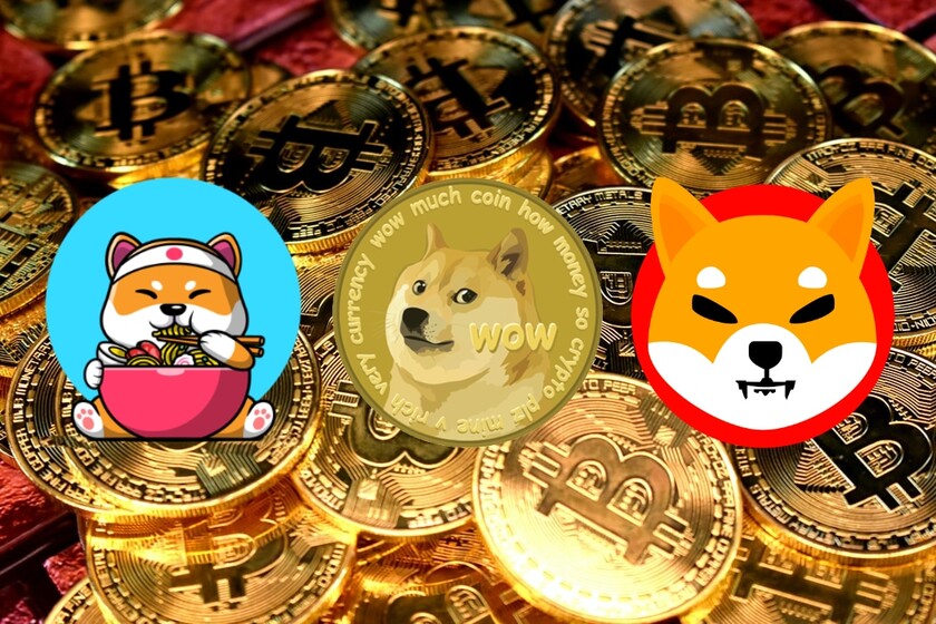 Read more about the article Prepping For The Bull Run? These Meme Coins Should Be On Your Radar