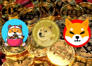 Meme coins