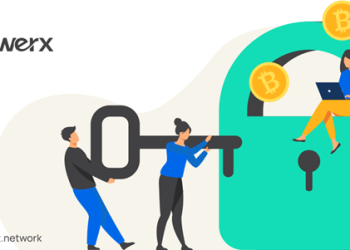 Cryptocurrency News: Analyst’s Top 3 Picks: Polygon (MATIC), Cardano (ADA) & Uwerx (WERX) Presale