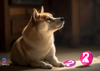 Shiba Inu (SHIB) and RenQ Finance (RENQ) are the only penny cryptos that every investor should have a bag of.