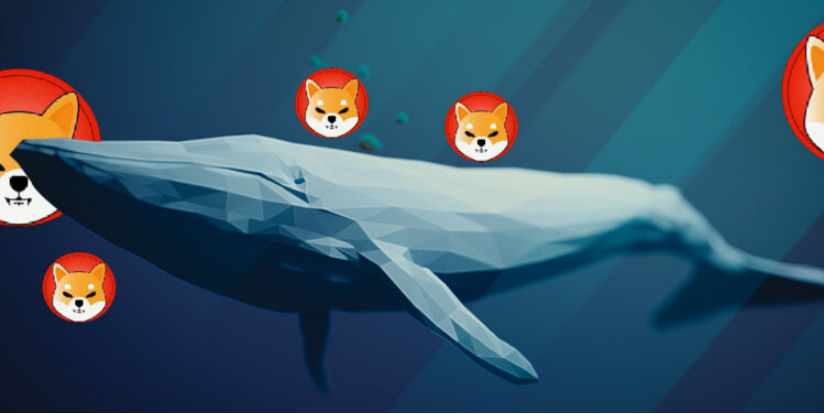 Shiba Inu Whale Moves 24 Trillion SHIB From Crypto Exchange To Cold Storage – Details