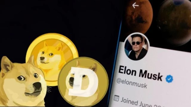 Dogecoin Surges 4% Due To This Elon Musk Tweet