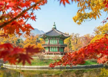 Report: Bank Of Korea Authorized To Conduct Inspections On Crypto Firms