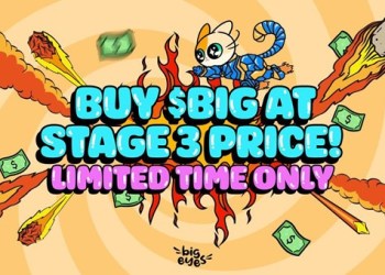 A Deep Dive: Ripple CTO’s Outlook On XRP Ledger Wallet & The Unmissable Rise Of Solana & Big Eyes Coin