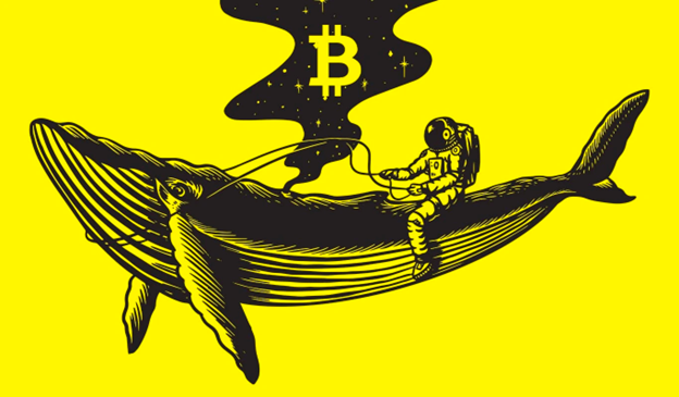 Bitcoin Whale and Early Dogecoin (DOGE) Investor Jumps to Pikamoon (PIKA) – Is This a Sign of Things to Come in the Crypto Market?