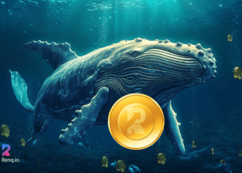 More than 77% of DeFi whales to buy RenQ Finance (RENQ), shows recent survey