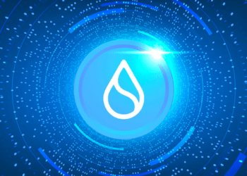 Sui launched its mainnet, Digitoads already raised over $3 million during presale