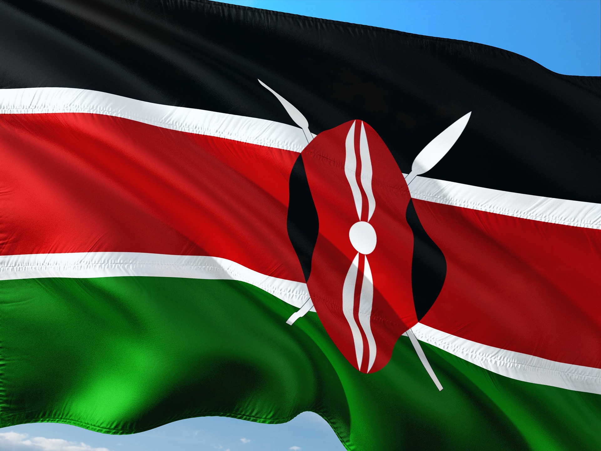 The Venom Foundation is partnering with the Kenyan government to establish a Blockchain Hub in Africa
