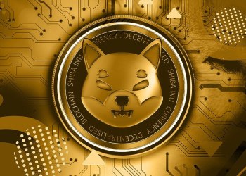 Electrician to Millionaire: This Shiba Inu (SHIB) Holder is Now Investing $250,000 into HedgeUp (HDUP)