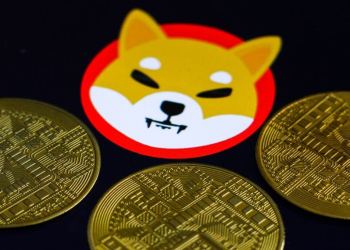 Shiba Inu (SHIB) vs HedgeUp (HDUP), Experts Believe They Will Be the Best 30X Presales for 2023