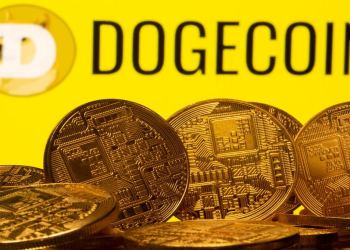 Dogecoin Holders Find a New Token That Provides Better Returns Than DOGE