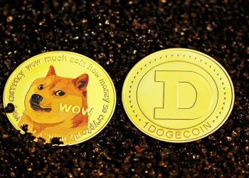 How to Buy Dogecoin (DOGE) and HedgeUp (HDUP) for Beginners