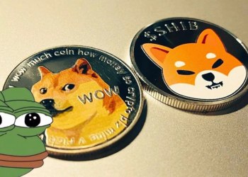Pepe (PEPE) vs Shiba Inu (SHIB) vs HedgeUp (HDUP). Who Will Be in the Top 5 on CoinMarketCap?