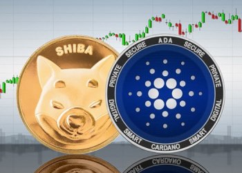 Crypto Gossip: HedgeUp (HDUP) Bulldozes over its Competitors Shiba Inu (SHIB) and Cardano (ADA), is this the End for Memes?