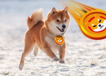 Shiba Inu (SHIB) Whales Have Started Offloading Tokens and Buying HedgeUp (HDUP). Here’s why…