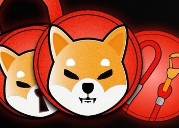 Crypto Live and Direct: HedgeUp (HDUP) Complete Stage 2 Presale, While Shiba Inu (SHIB) and Filecoin Drop Below 10%