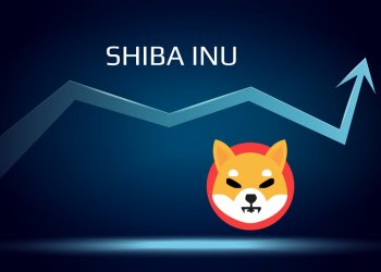 Experts Are Confident HedgeUp (HDUP) Will Outperform Binance Coin (BNB) and Shiba Inu (SHIB) in 2023