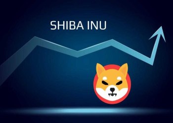 Connecting the Dots: Shiba Inu (SHIB) Millionaire Buys HedgeUp Presale, Coincidence?