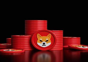 How to Buy Shiba Inu (SHIB) on MEXC Global and HedgeUp (HDUP)