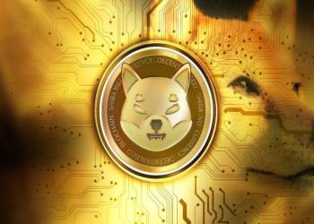 HedgeUp (HDUP) Could outrank Shiba Inu (SHIB) and Polygon (MATIC) in Market Cap by 2023