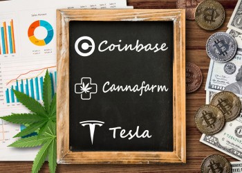 Coinbase, Cannafarm Ltd, Tesla: The Benefits and Risks of Investing in Crypto.