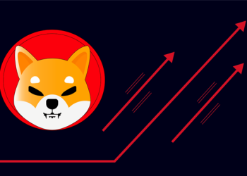Shiba Inu Trading Volume Surges 300% in 3 Days: Is a Bull Run on the Horizon?