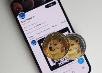 Meme Coin News: Is  Elon Musk’s Dogecoin (DOGE) Hype Dying Down? DigiToads (TOADS) on Track to Raise $ 5.7 Million in Presale