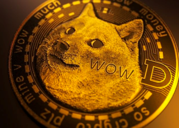 Dogecoin And This New Token Can Easily Turn Your $500 Into $20,000 This Year.