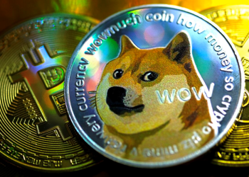 Don’t Invest in Dogecoin Until You’ve Read This!