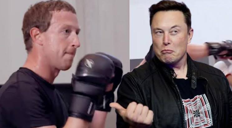 Elon musk vs Mark Zuckerberg