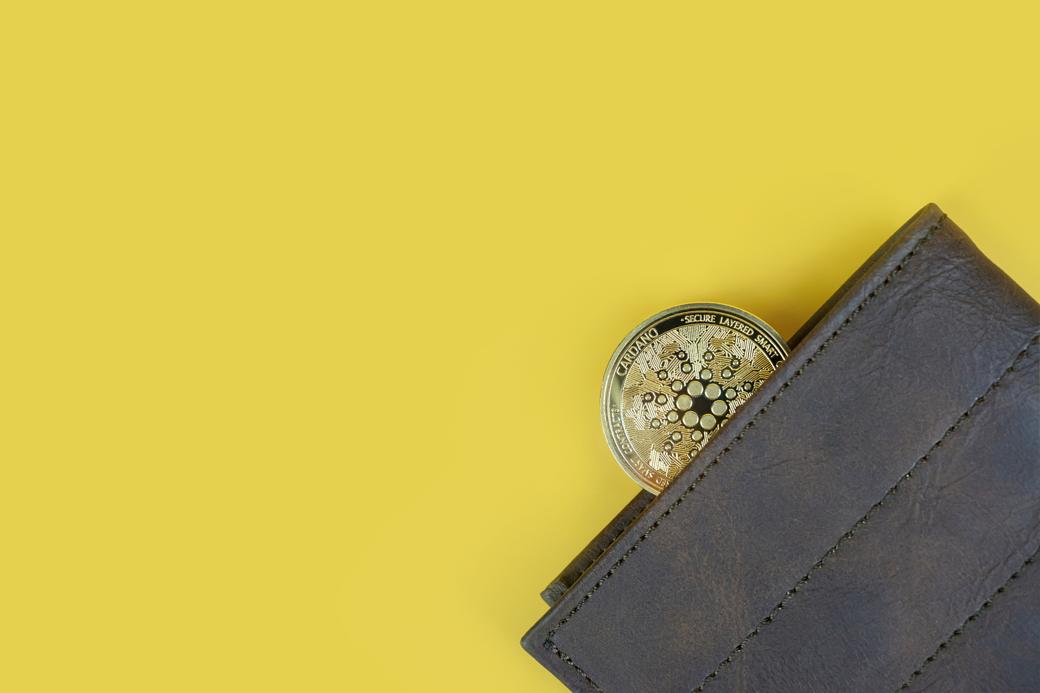 Cardano in a wallet on yellow background with copy space
