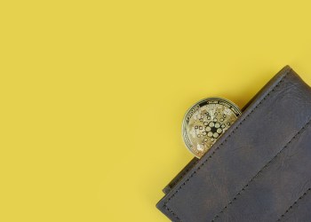 Cardano in a wallet on yellow background with copy space