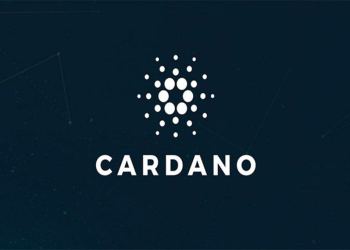 HedgeUp (HDUP) Anticipates Holders to Gain 5,200%, Whilst Cardano (ADA) and Polygon (MATIC) Fall A Further 10%