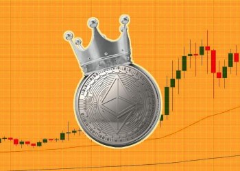 Crypto King HedgeUp (HDUP) Presale Attracts Cardano (ADA) and Polygon (MATIC) Investors, Heres They’re WINNING