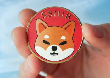 HedgeUp (HDUP) Rising Tide: How Shiba Inu (SHIB) & HedgeUp (HDUP) are riding the Bullish Wave to Success